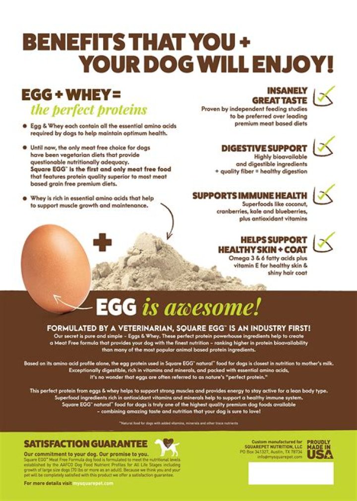 Will Raw Eggs Help My Dogs Coat