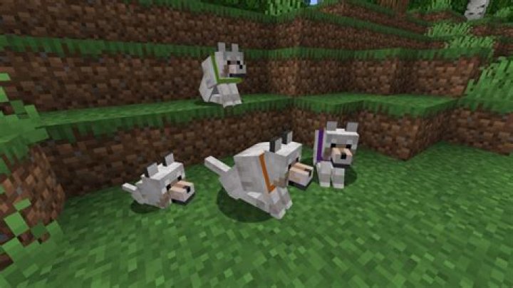 Will Tamed Dogs Despawn In Minecraft