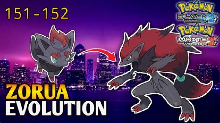 Zorua Evolution Level - How To Discuss